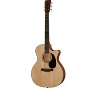 Martin Guitar Martin Guitar GPC-16E-02