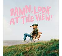 Martin Luke Brown - Damn Look at The View