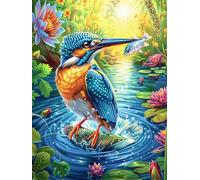 Martin-pêcheur aux ailes déployées près d'une cascade 300 Pieces Casse-tête Personne Âgée En Carton Haute Qualité Faune sauvage et animaux de compagnie Facile Débutant Anti-Stress Passe-Temps Cadeau A