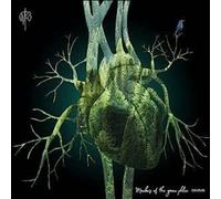 Martin Rubashov - Members Of The Green Phlox [Vinyl Lp] Uk - Import