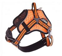 Martin Sellier Harnais ARKA Dog L Orange