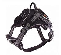 Harnais Arka Dog S Gris