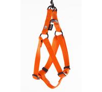 MARTIN SELLIER-Harnais baudrier réglable orange pour chien - 1x25/35 cm