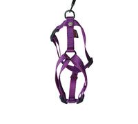 MARTIN SELLIER-Harnais Confort mauve pour chien - 4x90/110 cm