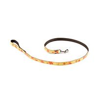 Martin Sellier Laisse pour Chien Floralies Jaune 15 mm Taille S