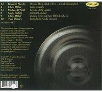 Martin Simpson - David Hidalgo - Viji Krishnan - Puvalur Srinivasan : Kambara Music In Natives Tongues