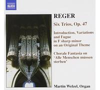 Martin Welzel – Martin Reger : Œuvres pour orgue Vol. 6 – NAXOS