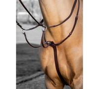 Martingale de course pour cheval LeMieux Arika Marron Full
