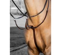 Martingale de course pour cheval LeMieux Arika Marron Full