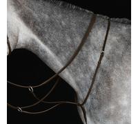 Martingale de course pour cheval Weatherbeeta Collegiate IV Marron Cob