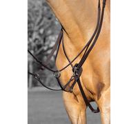 Martingale de course pour chevall LeMieux Kudos Marron Poney