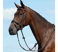 Martingale plate unie pour cheval Weatherbeeta Collegiate Syntovi Marron Cob