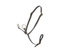 Martingale pour poney LeMieux Marron TU