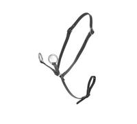 Martingale pour poney LeMieux Noir TU
