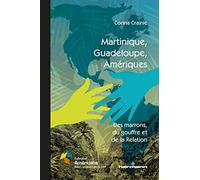 Martinique, Guadeloupe, Amériques: Des marrons, du gouffre et de la Relation