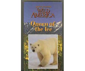 Marty Stouffer's Wild America : Queen of the Ice (Episode 114)