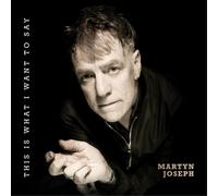 Martyn Joseph This Is What I Want to Say (Vinyl) 12" Album