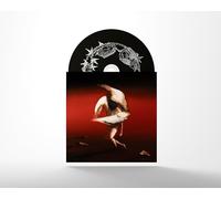 Maruja - Pain to Power