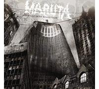 Maruta - Forward Into Regression