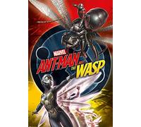 Marvel - Ant-Man and The Wasp - Unite Poster - Dimensions : 61 x 91,5 cm + 2 barres d'affiche en plastique de 62 cm - Noir