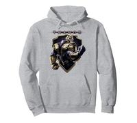 Marvel Avengers Endgame Thanos Shield Sweat à Capuche, Unisexe pour Adultes, Gris Chiné, XL