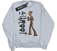 Marvel - "Avengers Infinity War I Am Teenage Groot" Sweat-shirt pour garçon BI6645 (116) (Gris)