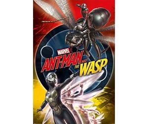 Marvel Comics Ant-Man and The Wasp (Unite) 61 x 91.5cm Affiche Maxi