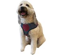 Marvel Comics for Pets Harnais Captain America pour Chien Taille L | Meilleur Harnais Avengers Infinity War pour Tous Les Grands Chiens | Produit sous Licence Officielle de for Pets