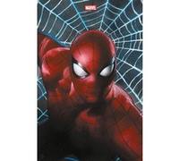 Marvel Comics (II) N°16 (Variant - Tirage limité) - COMPTE FERME Zeb Wells (Auteur), Steve Orlando (Auteur), Dan Slott (Auteur), Ed McGuinness (Dessinateur), Cory Smith (Dessinateur), Paco Medina (Des