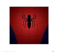 Marvel Comics Ultimate Spider-Man (Spider-Man Torso) 40 x 40 cm Toile Imprimée