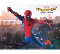 Marvel Comics WDC100086 Toile Imprimée, Multicolore, 60 x 80 cm