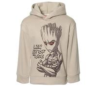Marvel Guardians of the Galaxy Groot Little Boys Fleece Pullover Hoodie [ColorTag1] 7-8 Gray