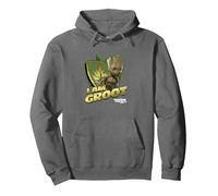 Marvel Guardians Vol.2 I AM Groot Shield Splash Sweat à Capuche, Unisexe pour Adultes, Asphalte, L