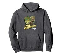 Marvel Guardians Vol.2 I AM Groot Shield Splash Sweat à Capuche, Unisexe pour Adultes, Chiné Foncé, XL