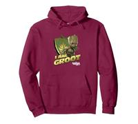 Marvel Guardians Vol.2 I AM Groot Shield Splash Sweat à Capuche, Unisexe pour Adultes, Marron, S