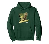 Marvel Guardians Vol.2 I AM Groot Shield Splash Sweat à Capuche, Unisexe pour Adultes, Vert Forêt, XL