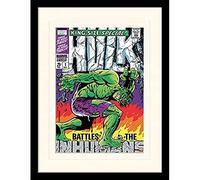 Marvel Incredible Hulk (Inhumans) 30 x 40 cm Objet Souvenir