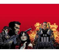 Marvel Knights: Punisher