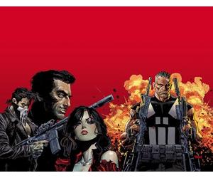 Marvel Knights: Punisher