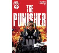 Marvel Knights Punisher - Jimmy Palmiotti - Panini Comics - cartonné - Comics