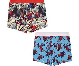 Marvel Mens Comics Boxer Briefs - Spiderman Mens Underwear - 2 Pack Boxer Briefs (Spiderman Multi, Large)