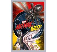 Marvel - Poster - Ant-Man and The Wasp - Unite + cadre amovible, Shinsuke® Maxi MDF argenté, vitre acrylique