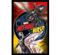 Marvel - Poster - Ant-Man and The Wasp - Unite + cadre interchangeable, Shinsuke® Maxi MDF noir, vitre acrylique