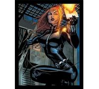 Marvel - Poster encadré "Black Widow Vs Moon Knight" PM9118 (40 cm x 30 cm) (Gris/Noir)