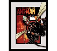 Marvel - Poster encadré "The Astonishing Ant-Man", évasion PM9826 (40 cm x 30 cm) (Coloré)