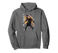 Marvel Rocket Raccoon Avengers Endgame Info Portrait Sweat à Capuche