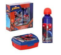 Marvel Spider-Man Bouteille et Boîte à Déjeuner, Gourde D'eau pour Garçon, Bouteille de Voyage en Aluminium, Capacité 500 ml