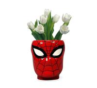 Marvel - Spiderman - Pot De Fleur Mural