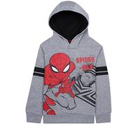 Marvel Spiderman, Sweat Shirt Garçon (Gris Clair,4 Ans)