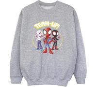 Marvel - "Spidey And His Amazing Friends" Sweatshirt für Jungen BI33418 (104) (Grau)